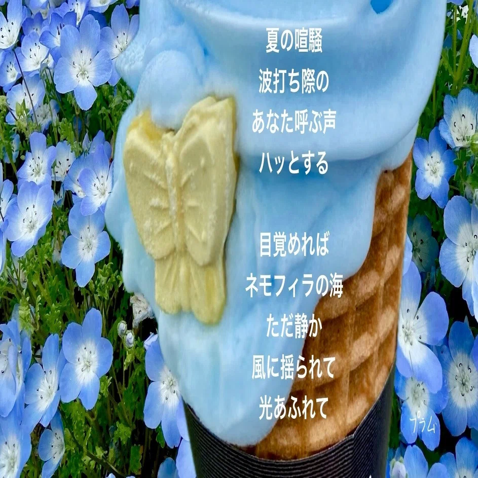 ネモフィラの海】(フォトポエム64) ｜プラム