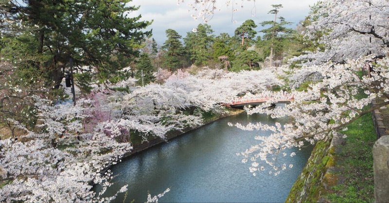 募集中】谷津遊園 皆さんの思い出を募集しています！ 2025年冬
