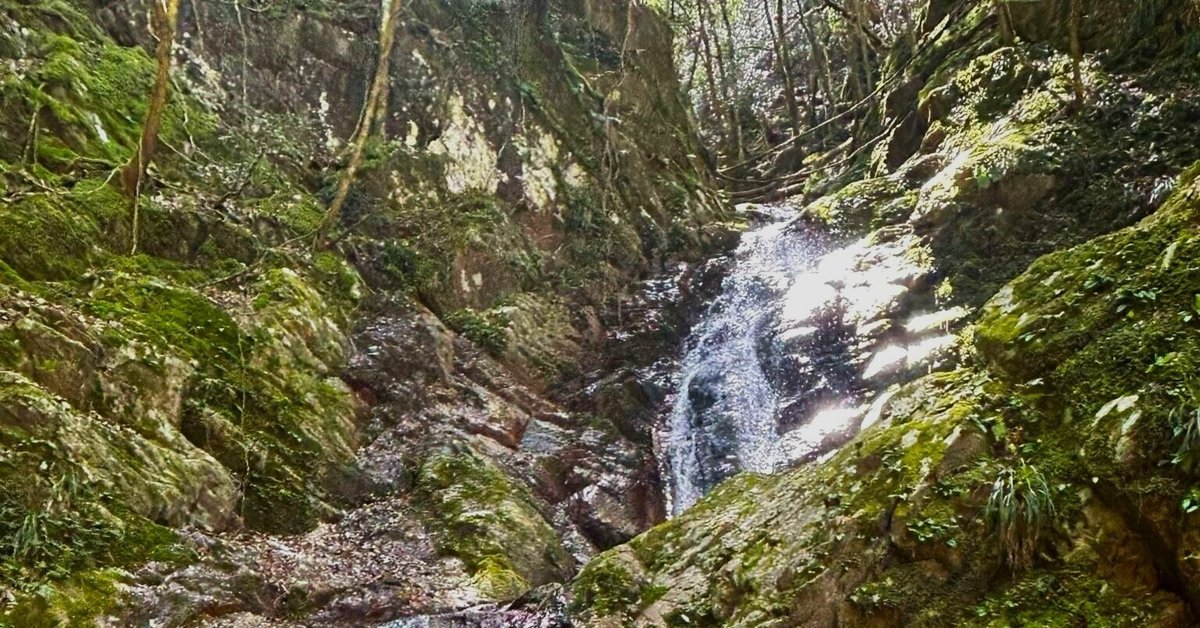 赤滝」をめざして【和歌山・かつらぎ町新城】｜flow Essence 美