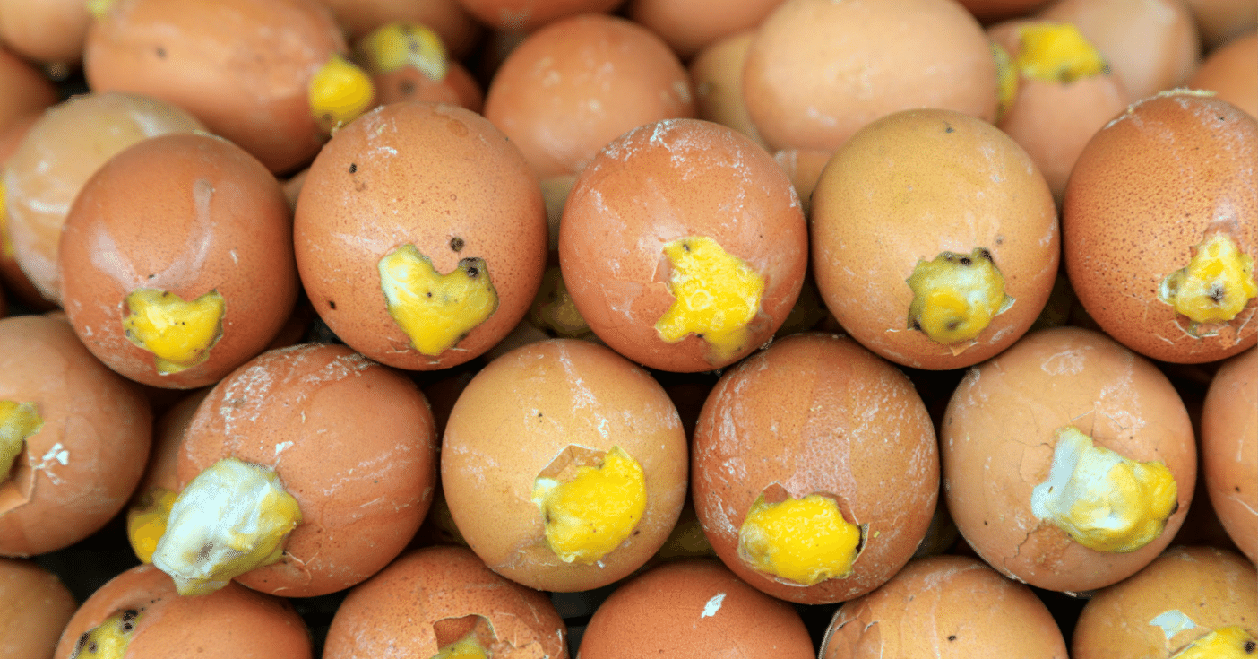 グロ」か「文化」か…フィリピンの珍味、バロットとは？｜ぱや | 好奇心の壺