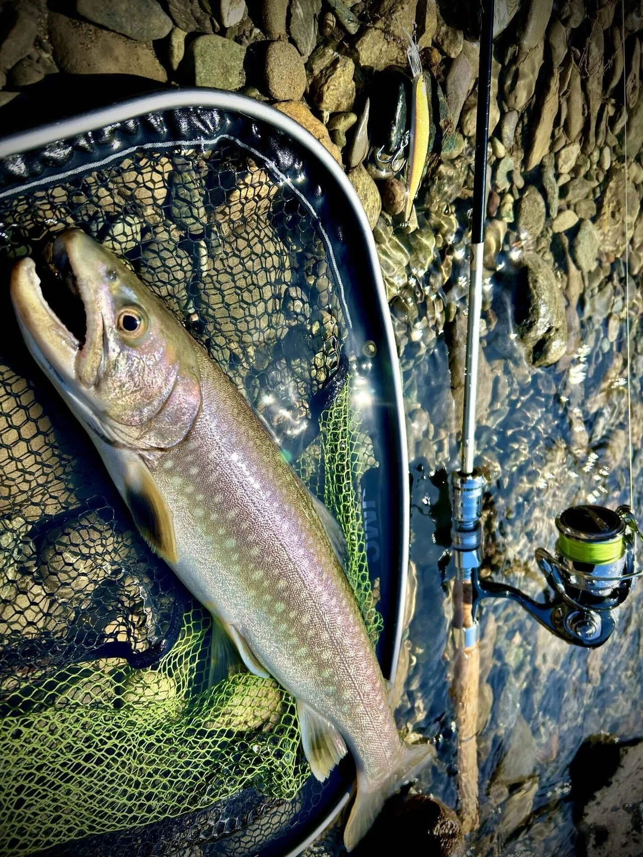 タックルハウスのツインクル、これだ。｜angler_noji