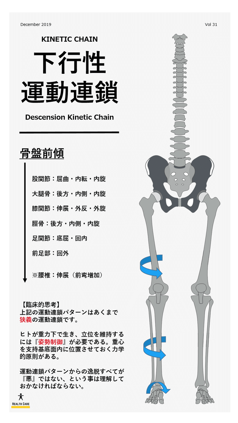 Vol.31：下行性運動連鎖