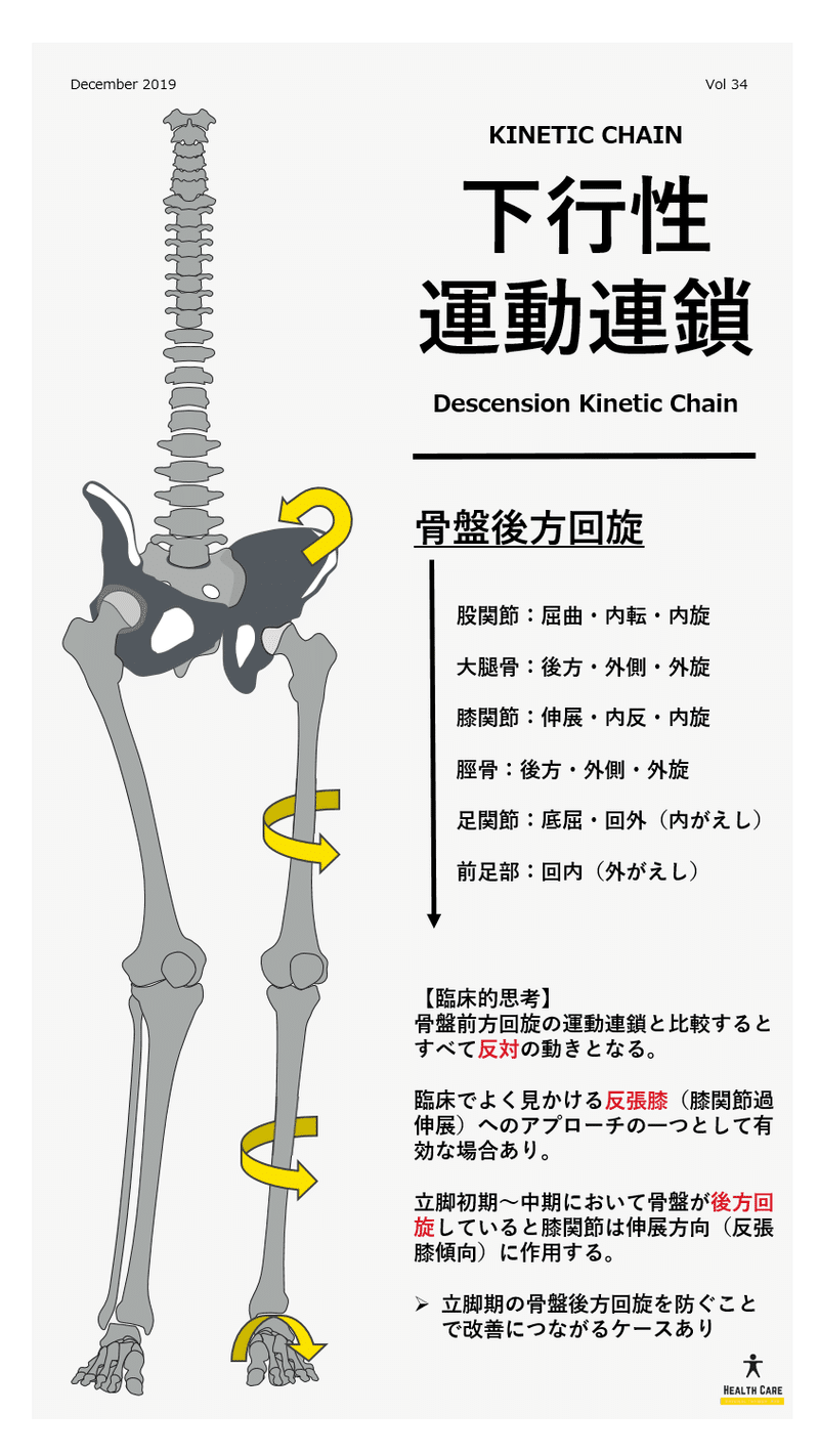 Vol.34：下行性運動連鎖