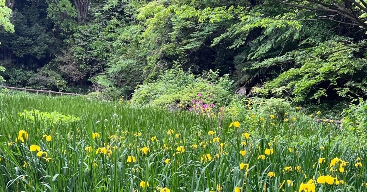 短歌 2025年4月｜梅木袱紗／黒猫幻想堂
