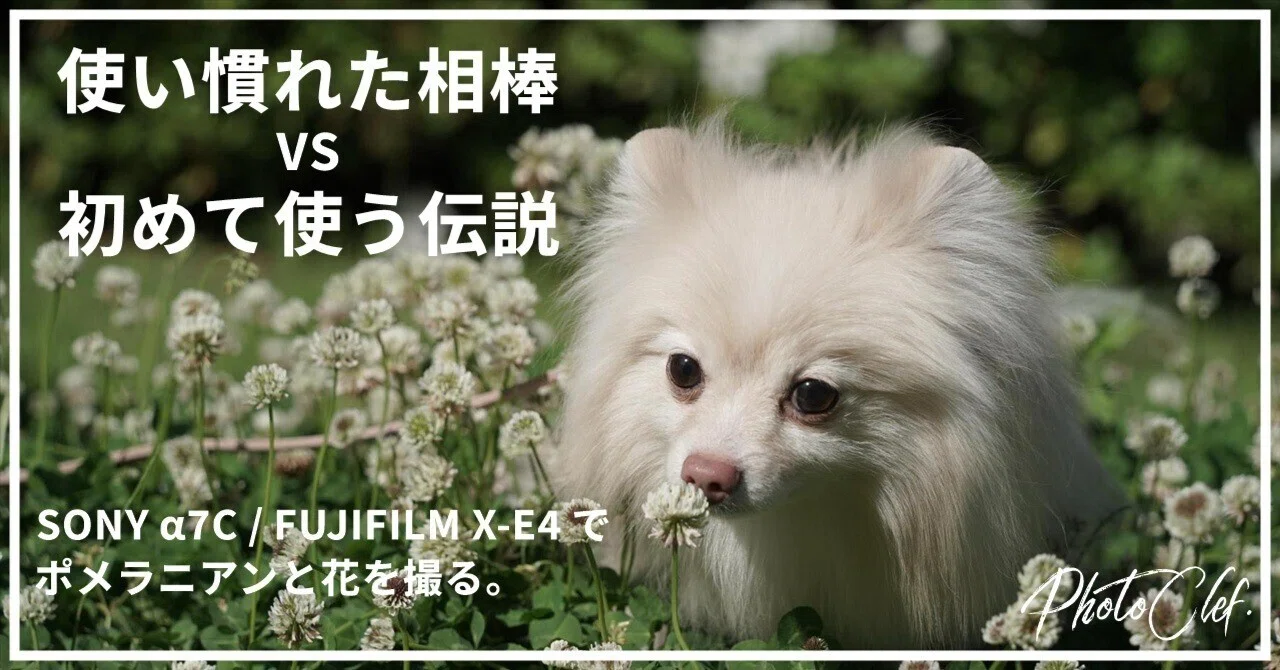 伝説のカメラ、FUJIFILM X-E4を入手したので相棒のα7Cと撮り比べました