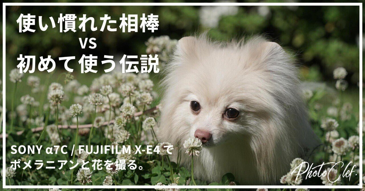伝説のカメラ、FUJIFILM X-E4を入手したので相棒のα7Cと撮り比べ