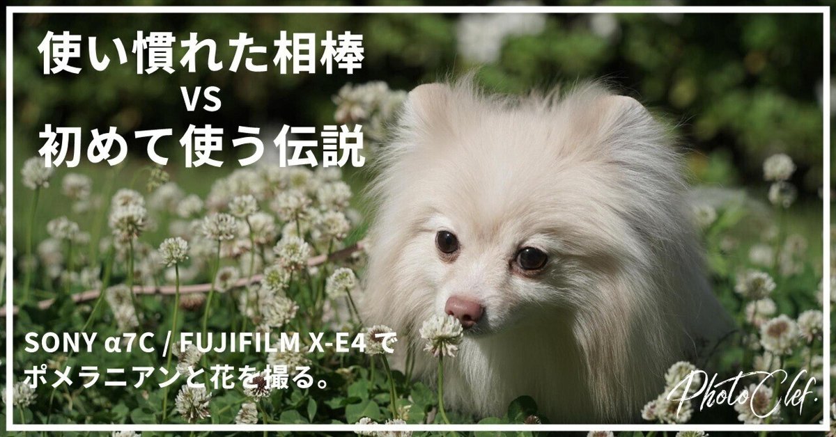伝説のカメラ、FUJIFILM X-E4を入手したので相棒のα7Cと撮り比べ