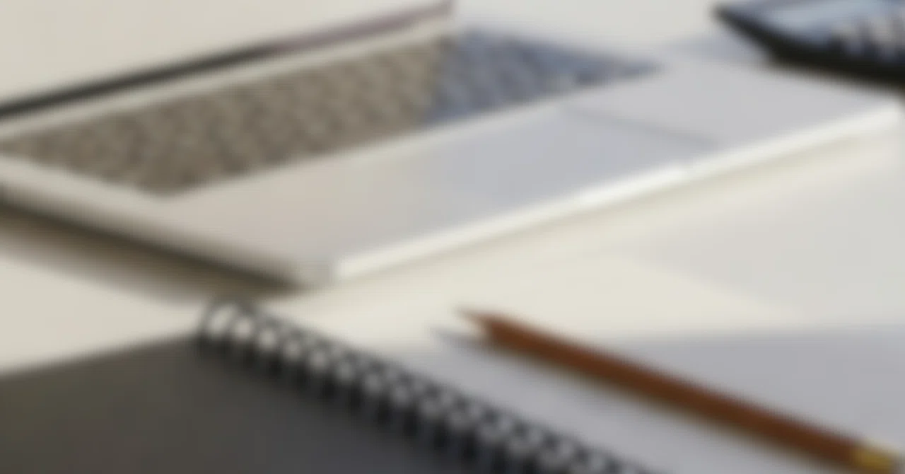 A Realistic Record of Creating a New Income Source (Month 1)｜K.mon