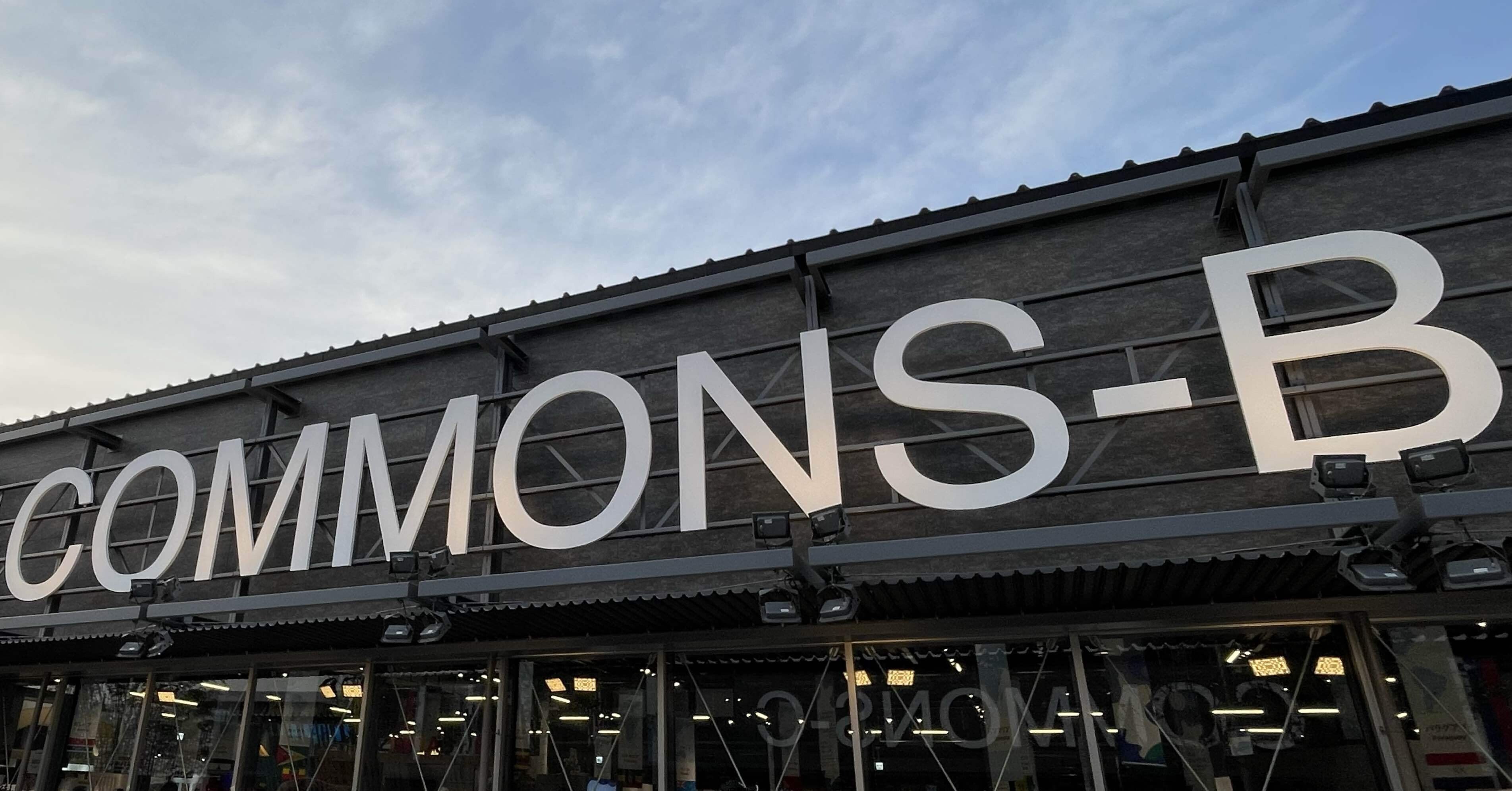 20314fd47cea8131cc7c3a4dbfbb19