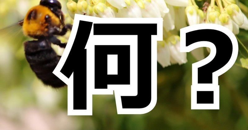 ふぁんふぁんハニーランドって何 永田智って誰 怖いんですけど 永田 Note ふぁんふぁんハニーランドって何 永田智って誰 怖いんですけど 永田 Note