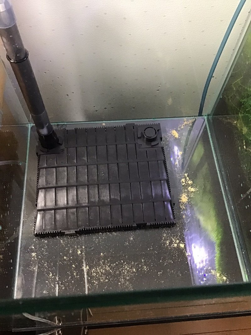 レッドビーシュリンプ水槽立ち上げ 第二弾 Kakoto Note