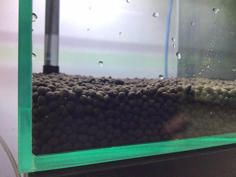 レッドビーシュリンプ水槽立ち上げ 第二弾 Kakoto Note