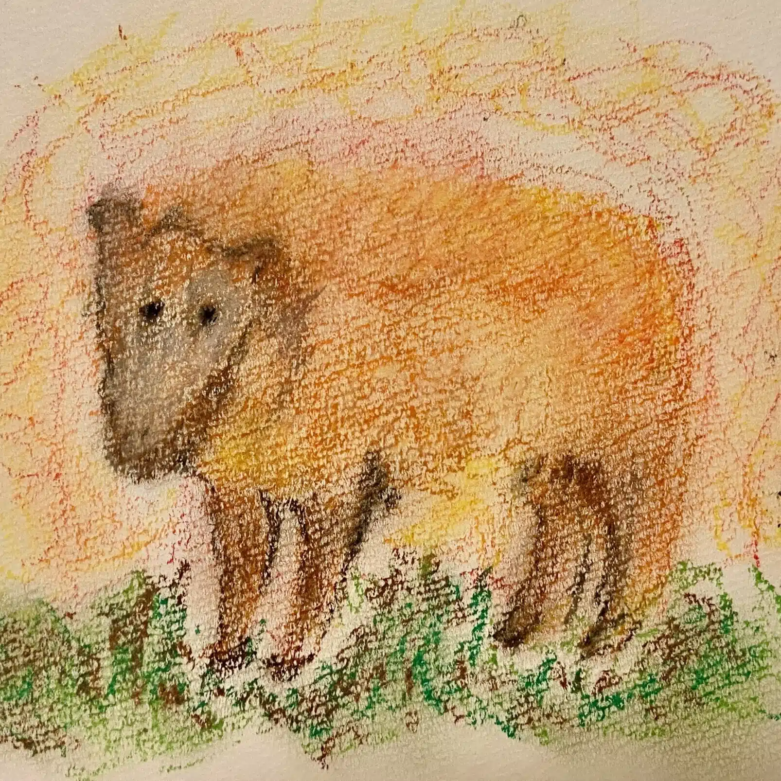 Sheep at Dusk