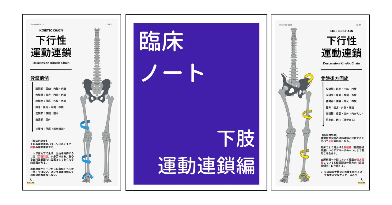 臨床ノート 下肢運動連鎖編 理学療法士のデザインnote リョウ Note