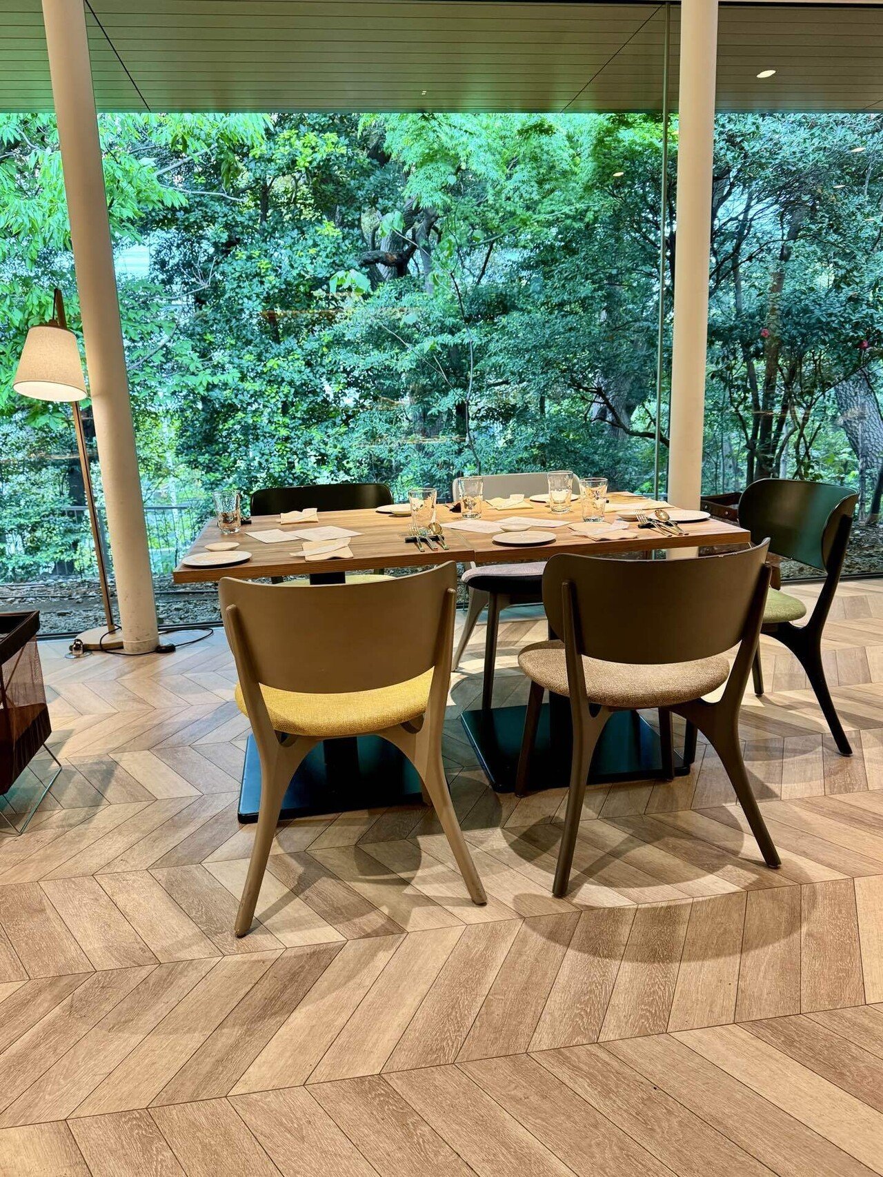 猫と時を旅する、贅沢なひととき― ホテル雅叙園東京「百段階段」×福