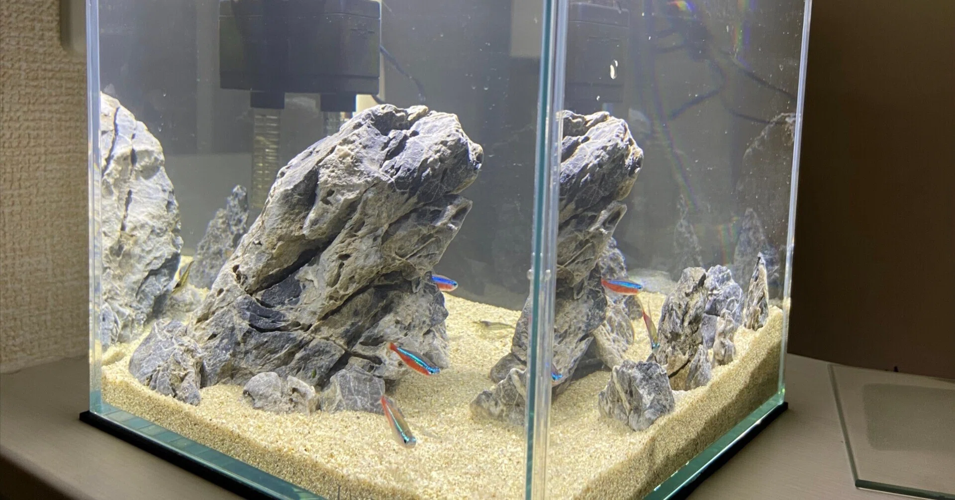 アクアリウム】青華石レイアウトやってみた｜たけのこ@サイドFIRE準備中