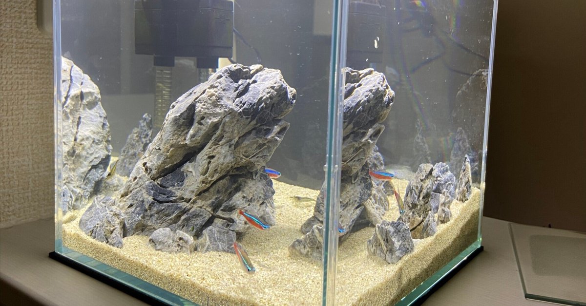 水槽用レイアウト石 気孔石＋おまけの青華石 水槽用レイアウト石 気孔石＋おまけの青華石 レイアウト用品
