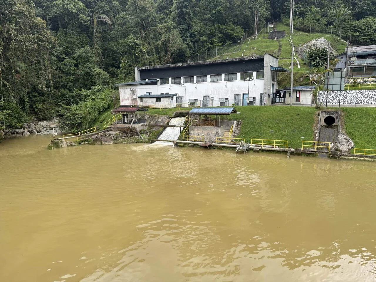 東南アジア周遊旅〜マレーシア④〜キャメロンで自然探索｜ミズ