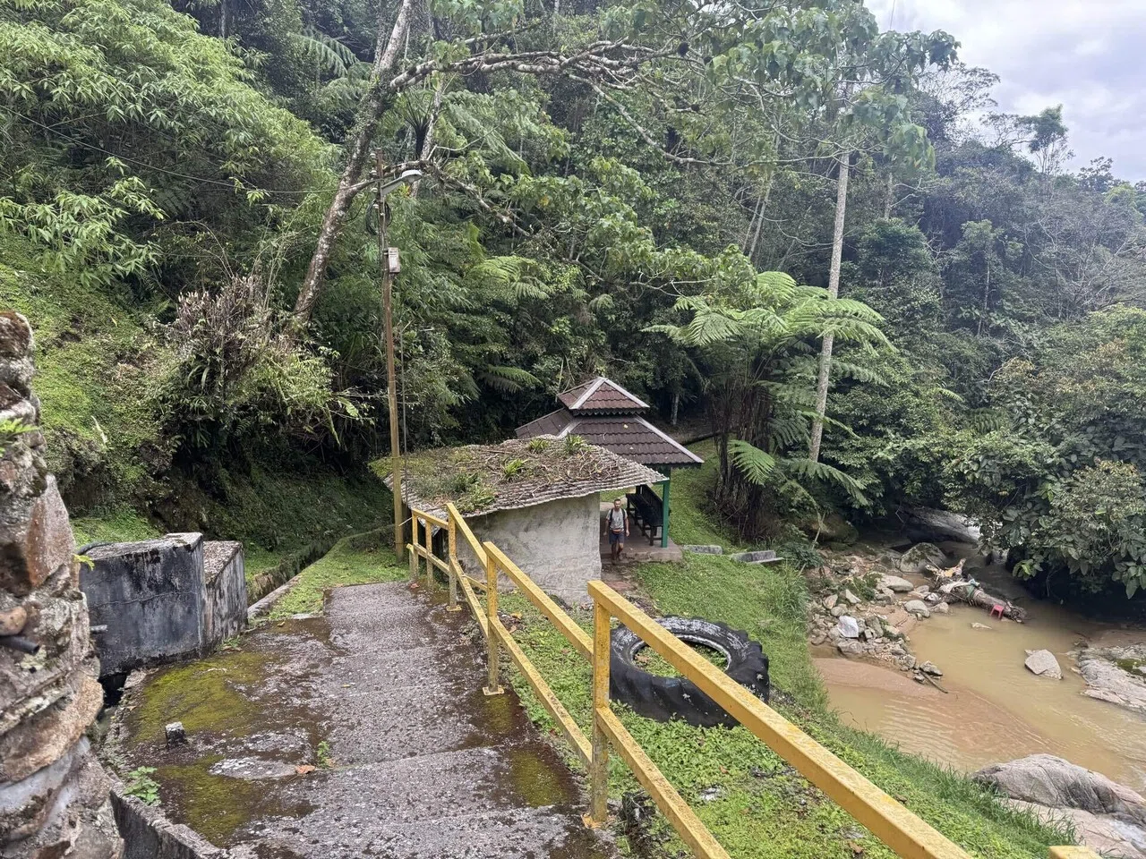 東南アジア周遊旅〜マレーシア④〜キャメロンで自然探索｜ミズ