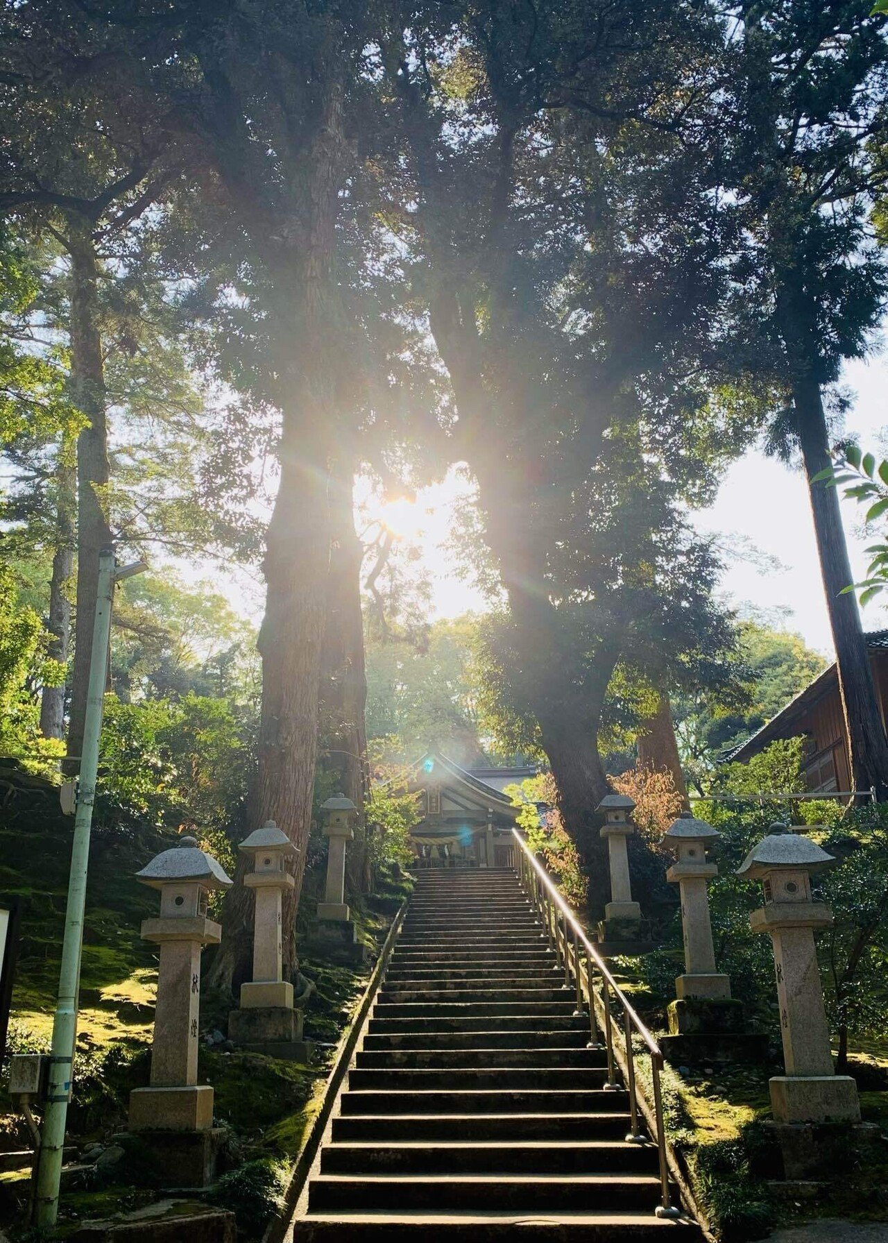 DAY02】北陸道☆四社参り①昔の人の智慧に驚愕：氣多神社｜にう