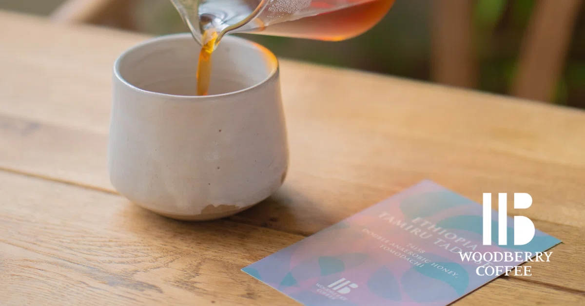 コーヒー紹介☕️】 エチオピア タミル タデッセ SKY PROJECT