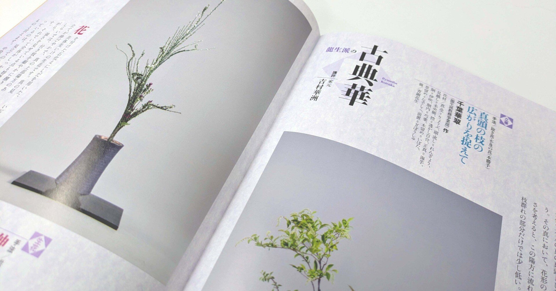 生花＝石化えにしだを伸びやかに用いた置く根締めいけ／立華=りょうぶ