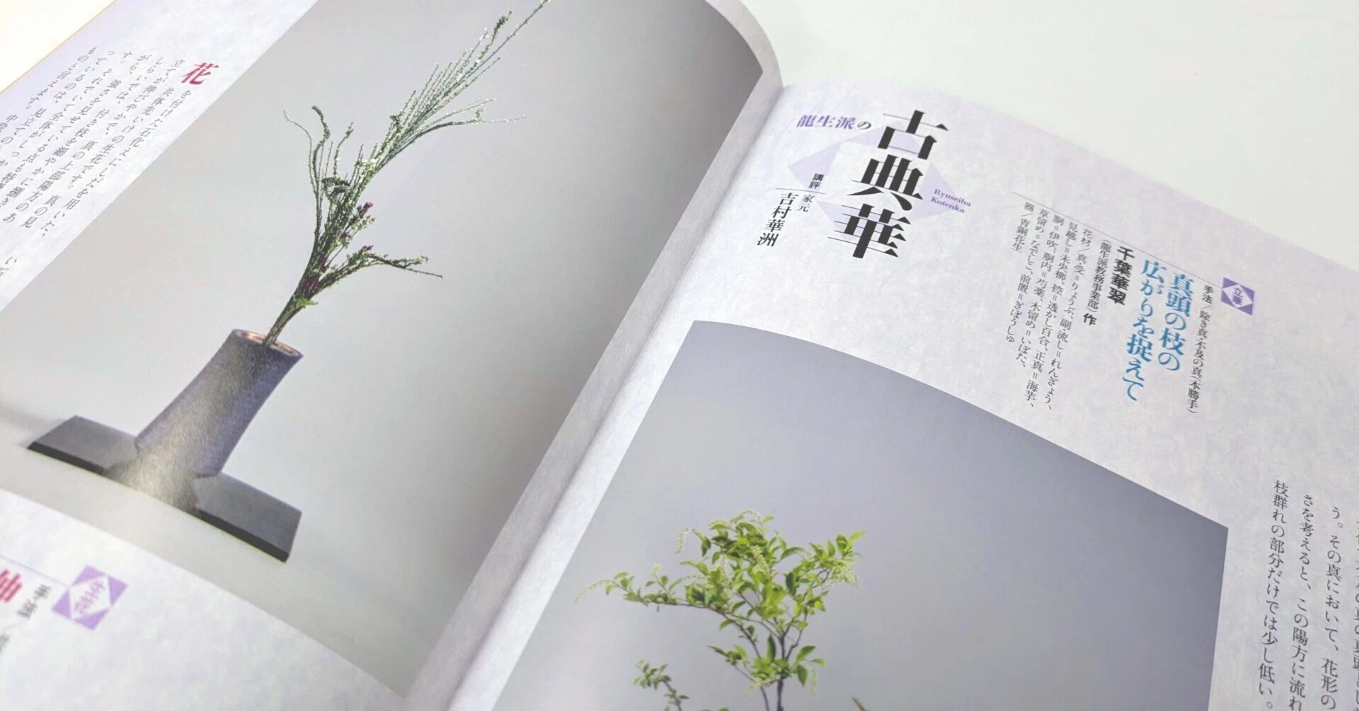 生花＝石化えにしだを伸びやかに用いた置く根締めいけ／立華=りょうぶ