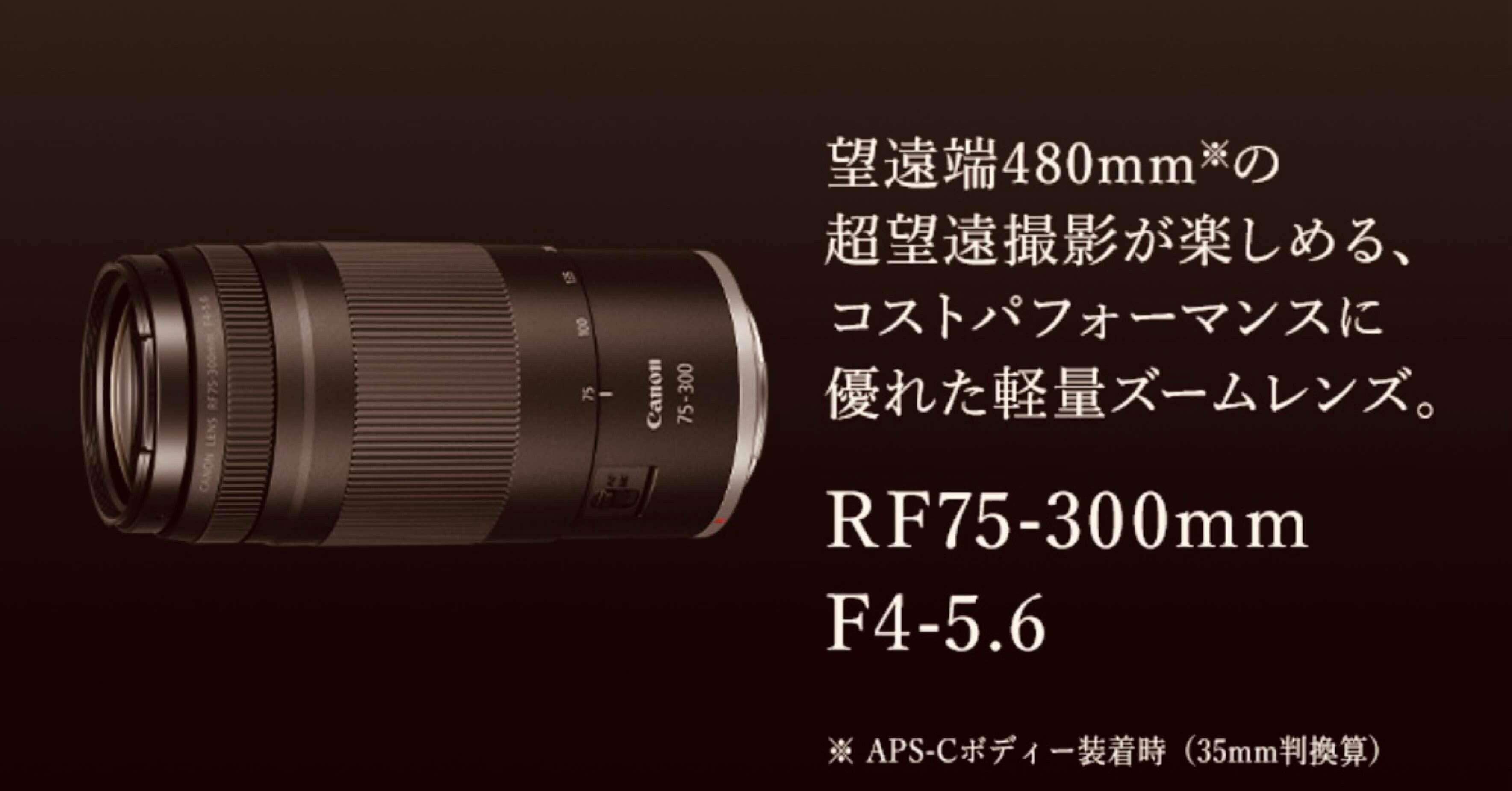 手ぶれ補正レンズ/一眼レフカメラ/Canon EF 75-300mm IS 一眼レフカメラ 手ぶれ補正レンズ Canon EF 75-300mm IS - メルカリ