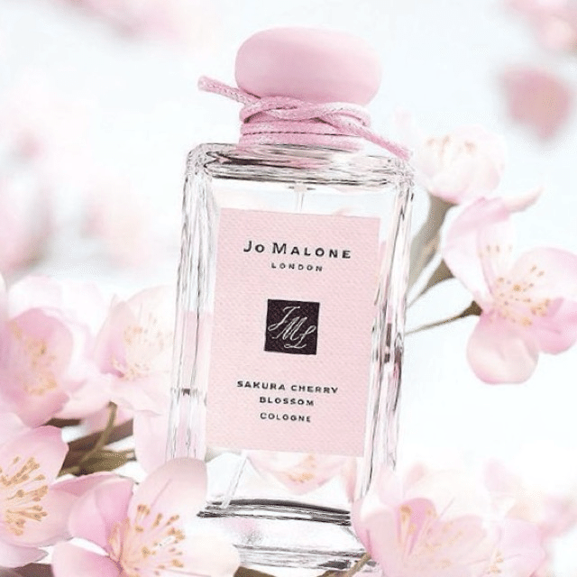 今昔◆《反物11》染小紋　白地に黒　菱花文様の総絞り　スコッチガード加工◆ Jo MALONE⁄ジョーマローン PLUM BLOSSOM⁄プラム ブロッサム コロン