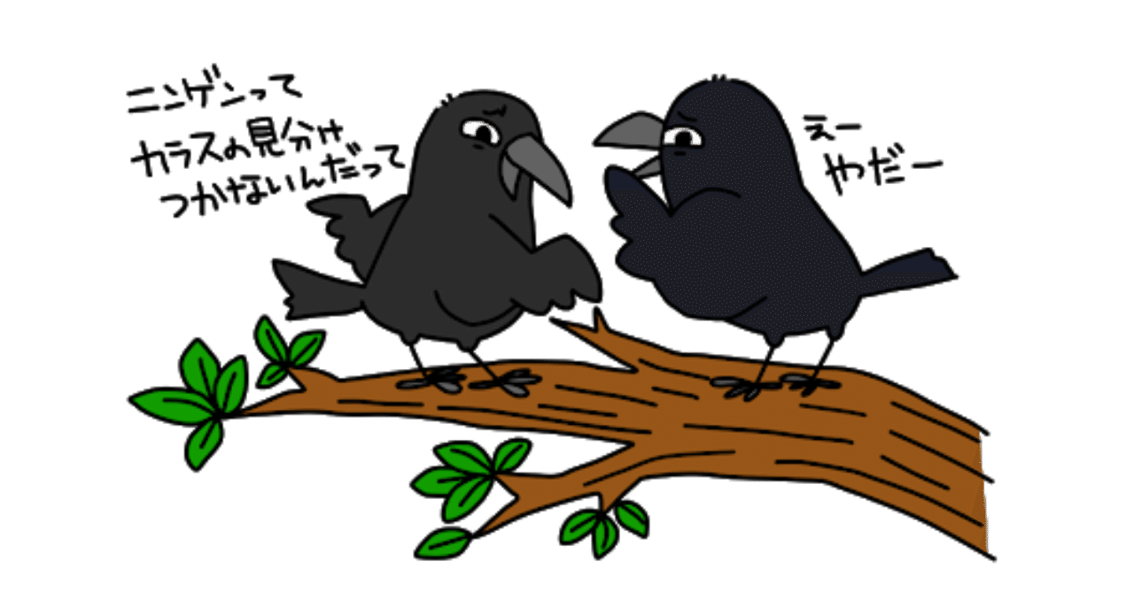 第805回 ハシボソガラス 14回目 はスマート 翆野 大地 Note