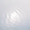 林田文果