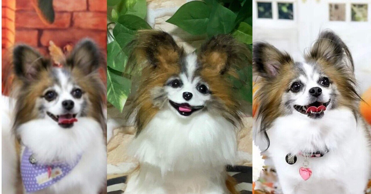 特別価格★【原画】『ディモルフォセカ』（花　植物　犬　チワワ　パピヨン　癒し） Chamomile-カモミール- | 7/8 🌻🌼🌷⛺🐻 cut🌼 ❁ビション