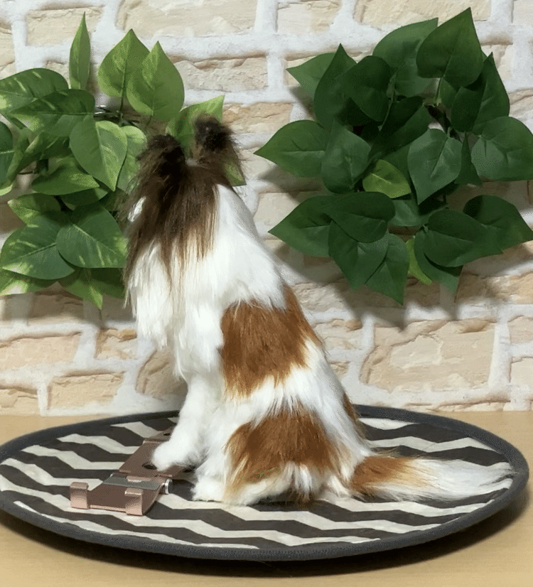 特別価格★【原画】『ディモルフォセカ』（花　植物　犬　チワワ　パピヨン　癒し） Chamomile-カモミール- | 7/8 🌻🌼🌷⛺🐻 cut🌼 ❁ビション