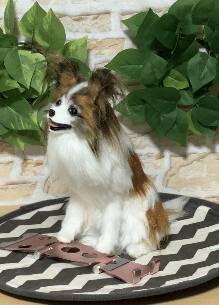 特別価格☆【原画】『ディモルフォセカ』（花 植物 犬 チワワ