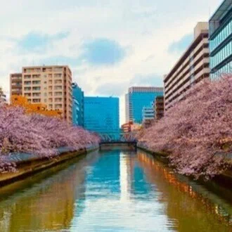 ばかおやじ