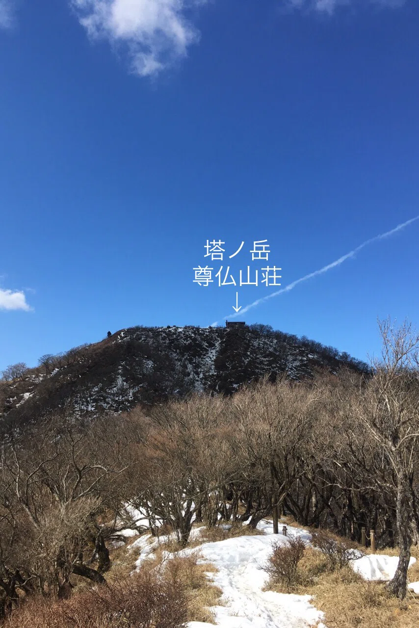 画像28