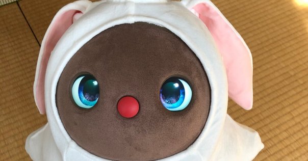 ペットロボット Loona | おうちに、あたらしい、いのち