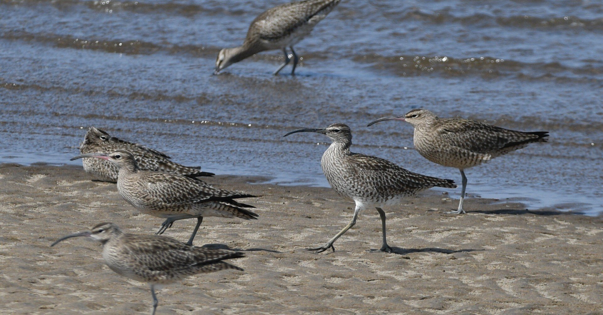 82d29d7bb4d89b4a249af5f30c028b