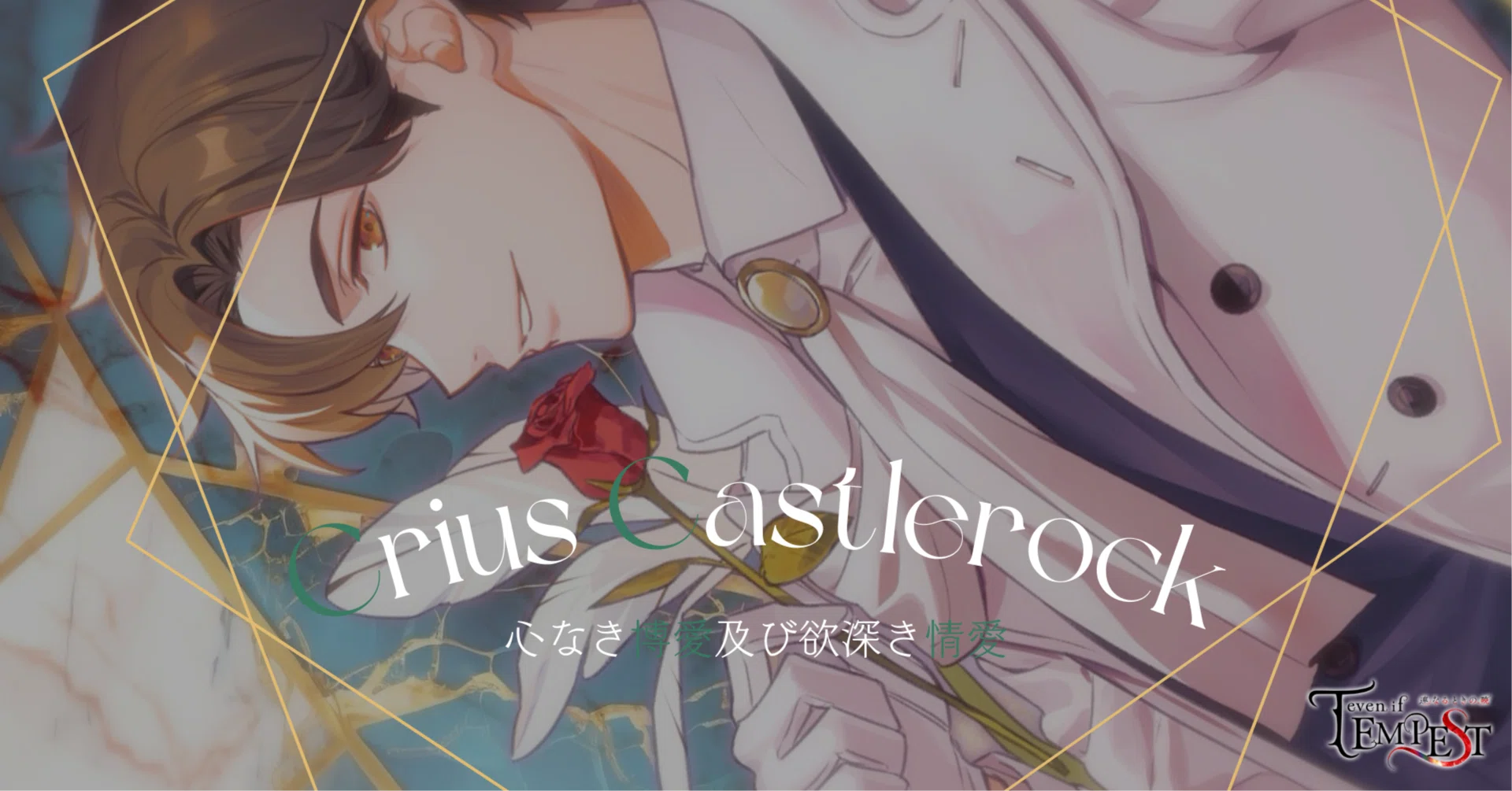 even if TEMPEST テンペスト魔女 クライオス Switchケース