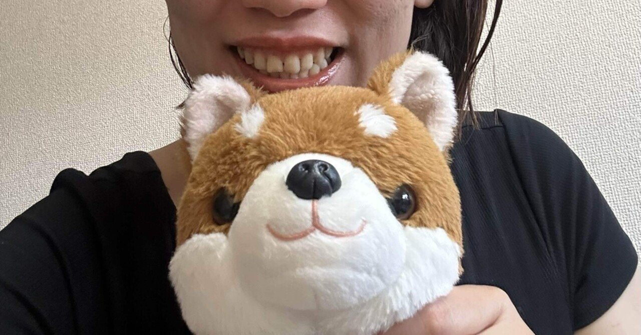 可愛いタヌキ動画 モフモフかわいいたぬきと出会った tanuki