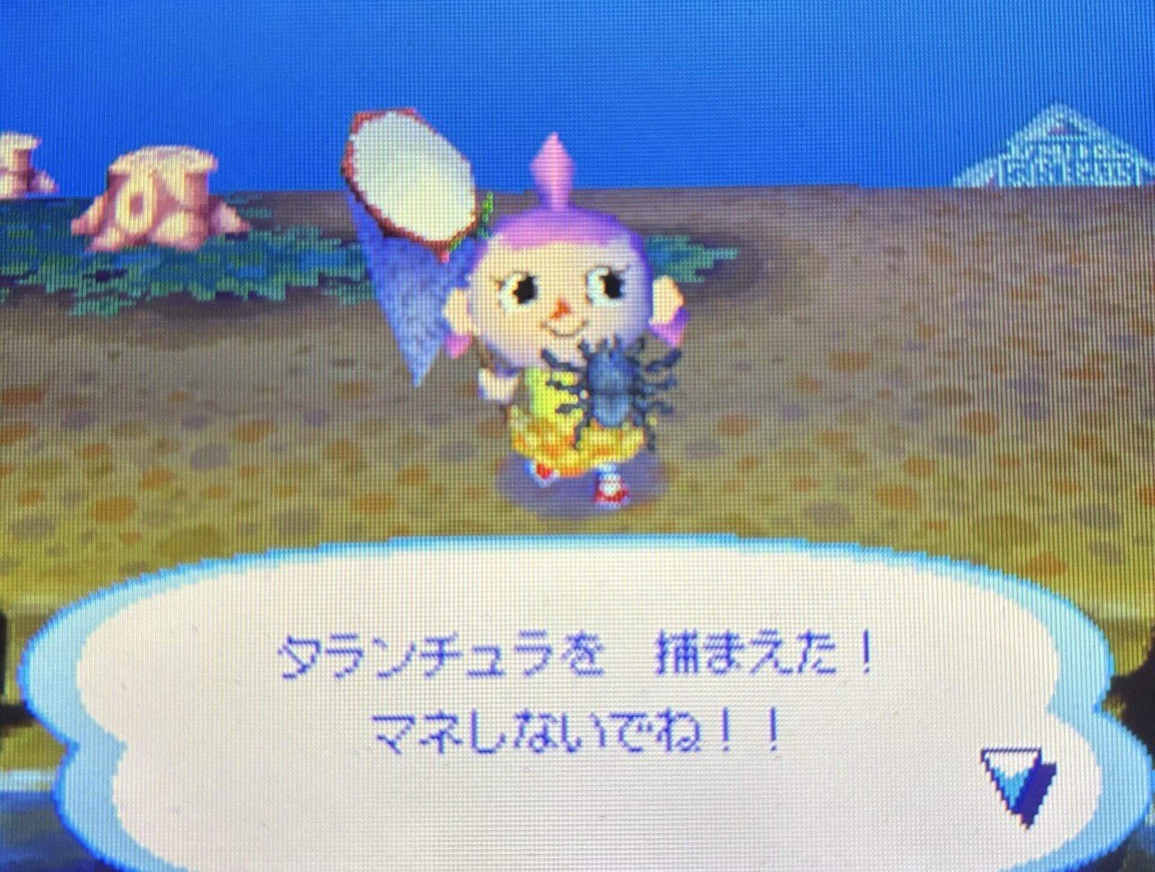 おいでよどうぶつの森】 8日目 金のつりざお・金のあみ入手｜あまとり