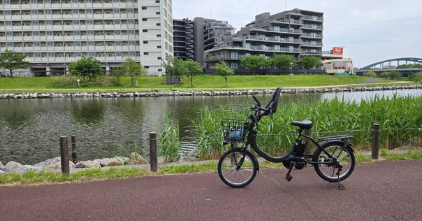 クロスバイクを買ったよ｜猫犬