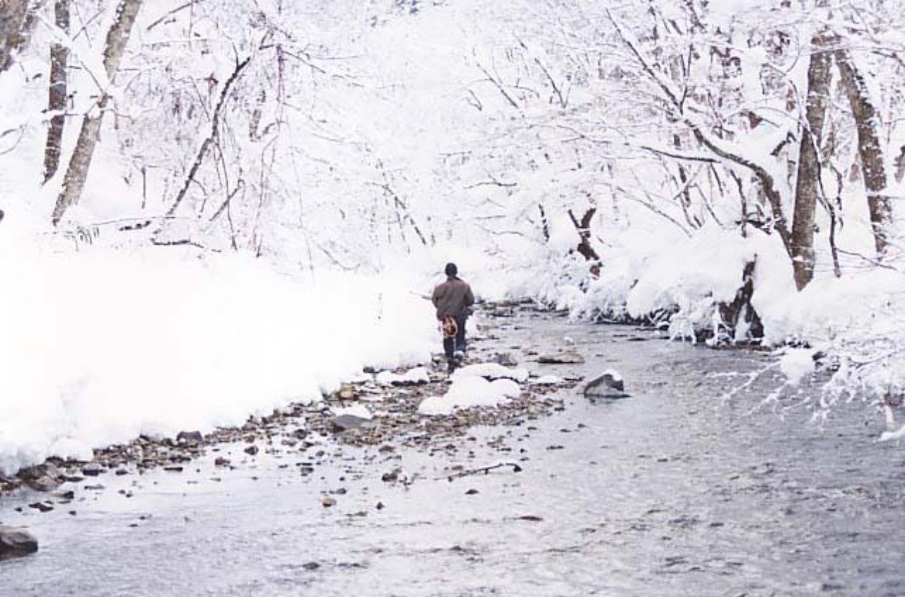 熊撃ち猟師の生き様から 命の懸け方を考えた話 みずのつくる 半農半エンジニア 名古屋 Note