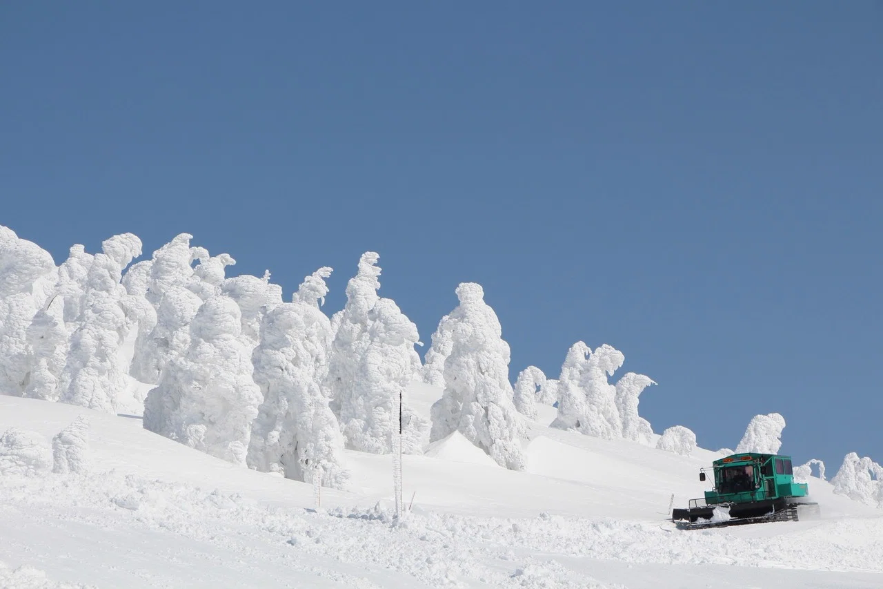 雪上車で行く「みやぎ蔵王樹氷めぐり」｜温泉山荘だいこんの花