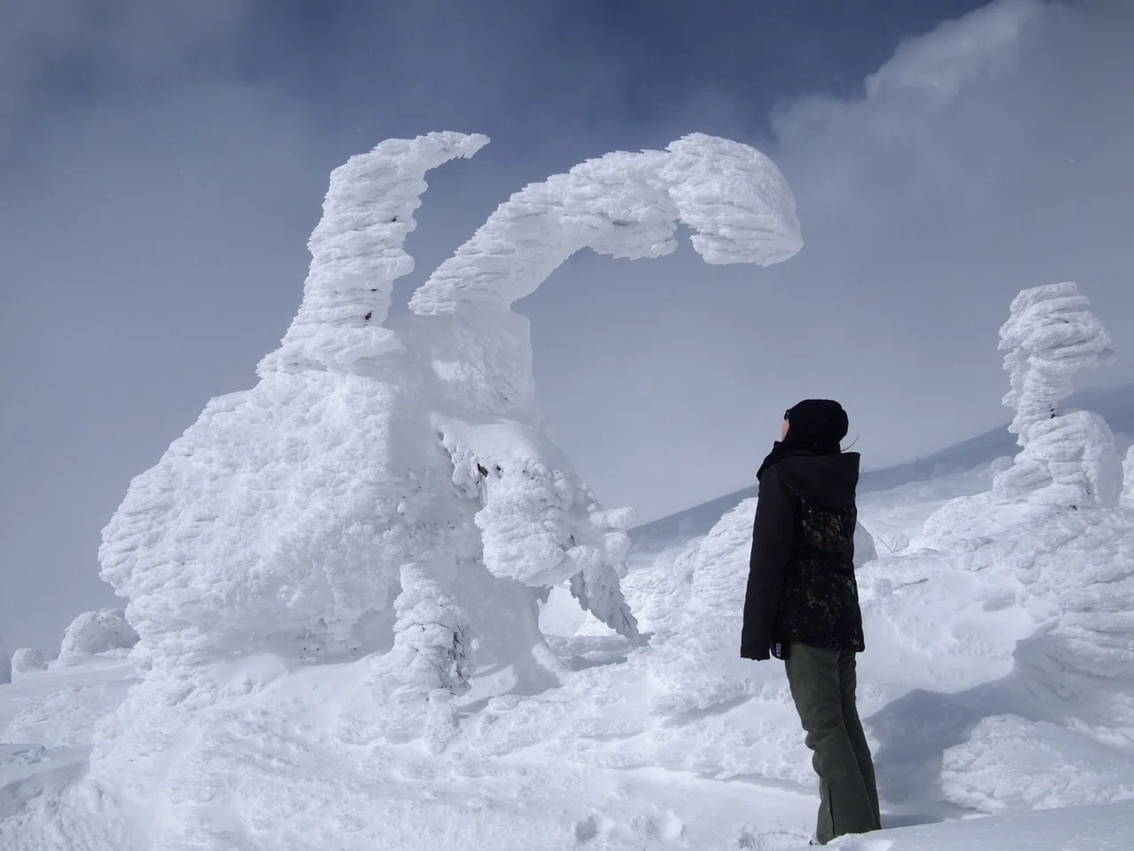 雪上車で行く「みやぎ蔵王樹氷めぐり」｜温泉山荘だいこんの花