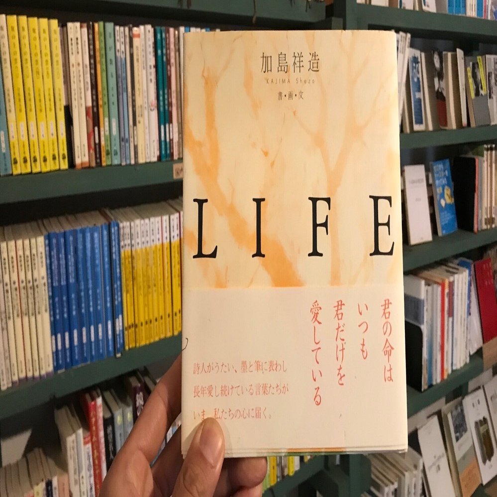 加島祥造 短冊40作品 読書感想文】『LIFE』加島祥造【東洋思想】｜