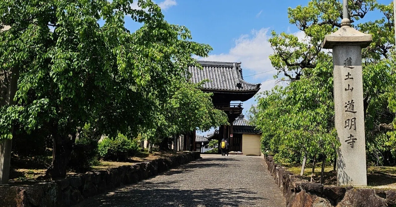 社寺散歩｜道明寺｜大阪・藤井寺市｜関西の桜餅・道明寺粉発祥の尼寺