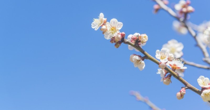 リピーターが増える おもてなし歳時記 立春 2月4日 2月18日 二十四節気の旬の食材と話題 トレタ 公式 カスタマーサクセス Note リピーターが増える おもてなし歳時記 立春 2月4日 2月18日 二十四節気の旬の食材と話題 トレタ 公式 カスタマーサクセス Note