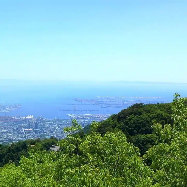 ふかみどり