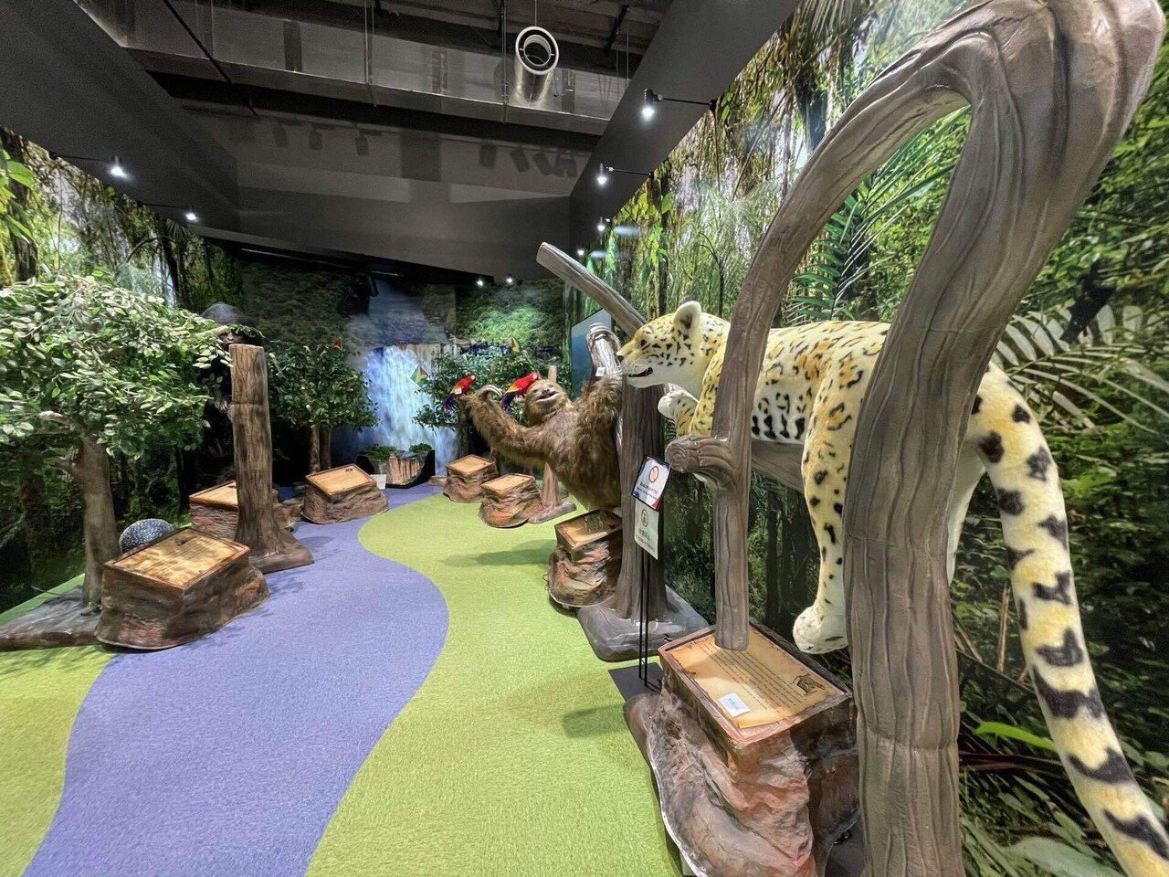 大阪・関西万博の旅 その23】24か国が出展している「コモンズB館